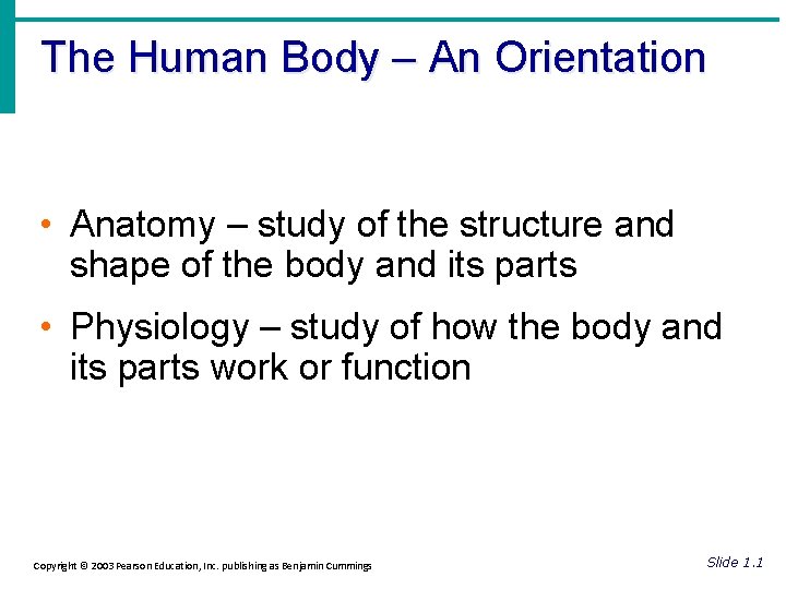 The Human Body – An Orientation • Anatomy – study of the structure and