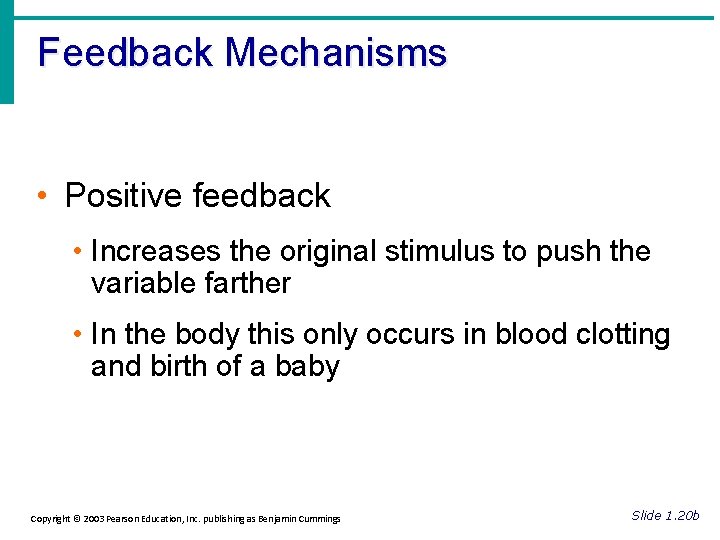 Feedback Mechanisms • Positive feedback • Increases the original stimulus to push the variable