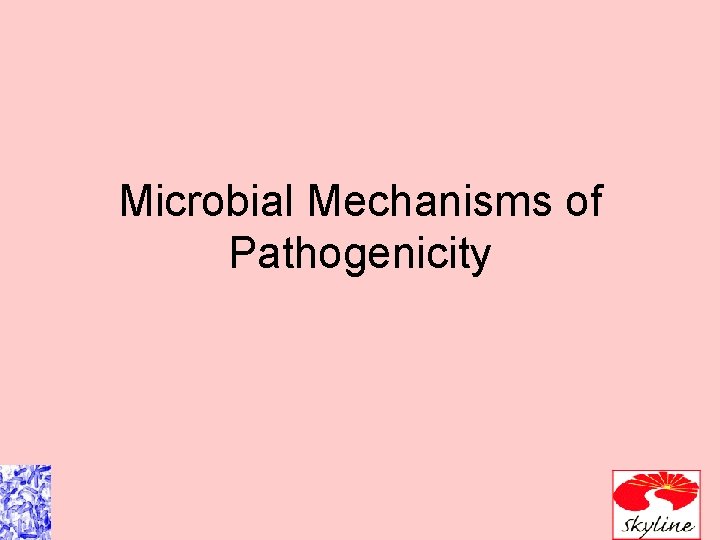 Microbial Mechanisms of Pathogenicity 