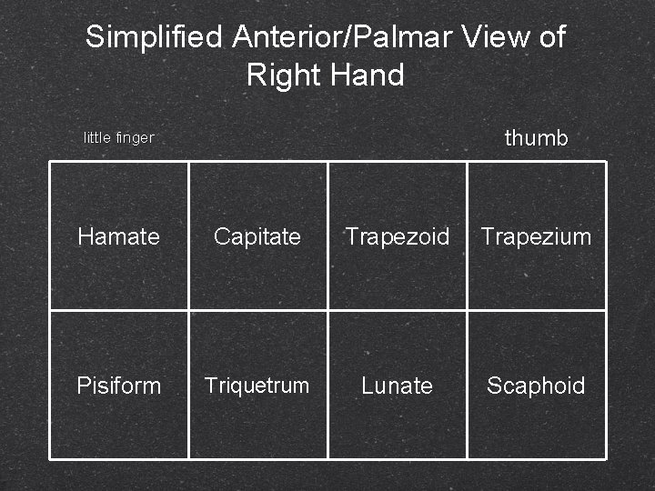 Simplified Anterior/Palmar View of Right Hand thumb little finger Hamate Capitate Trapezoid Trapezium Pisiform