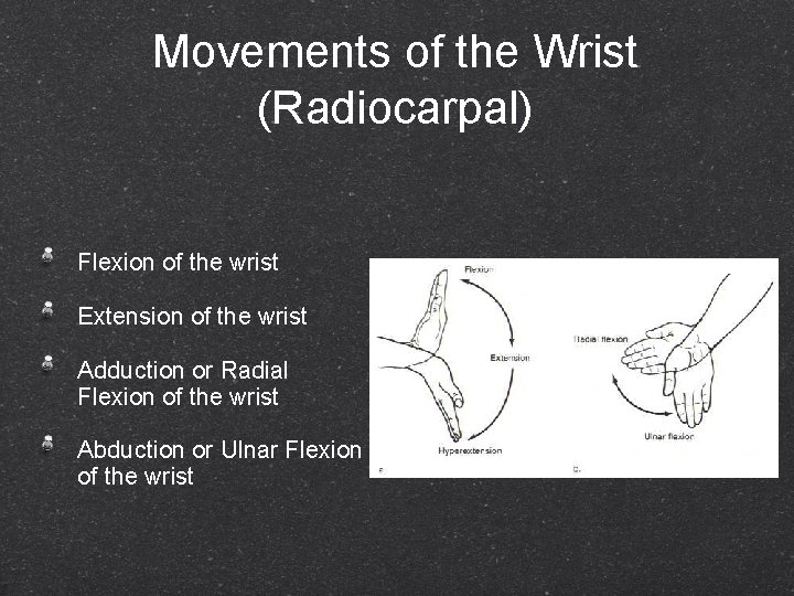 Movements of the Wrist (Radiocarpal) Flexion of the wrist Extension of the wrist Adduction