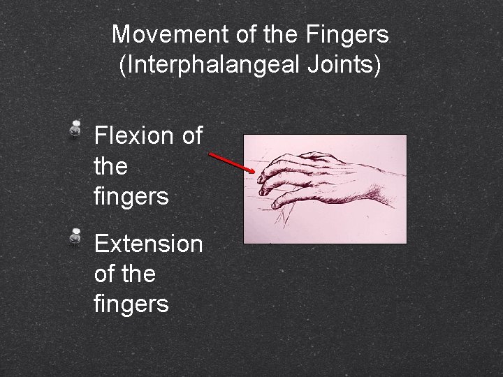 Movement of the Fingers (Interphalangeal Joints) Flexion of the fingers Extension of the fingers