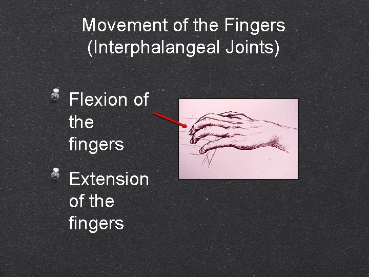 Movement of the Fingers (Interphalangeal Joints) Flexion of the fingers Extension of the fingers