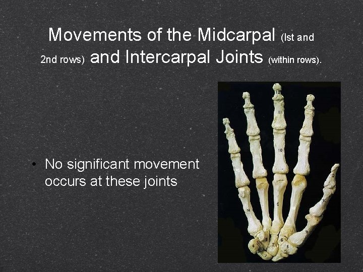 Movements of the Midcarpal (lst and 2 nd rows) and Intercarpal Joints (within rows).