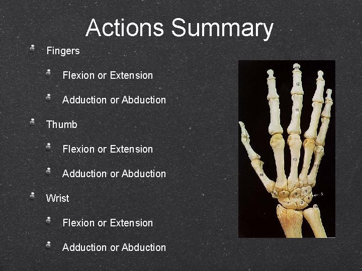 Actions Summary Fingers Flexion or Extension Adduction or Abduction Thumb Flexion or Extension Adduction