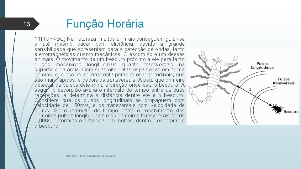 13 Função Horária 11) (UFABC) Na natureza, muitos animais conseguem guiar-se e até mesmo