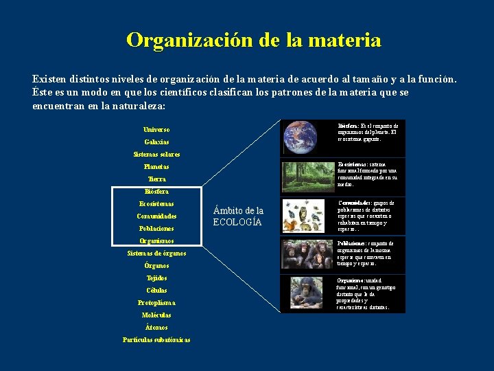 Organización de la materia Existen distintos niveles de organización de la materia de acuerdo
