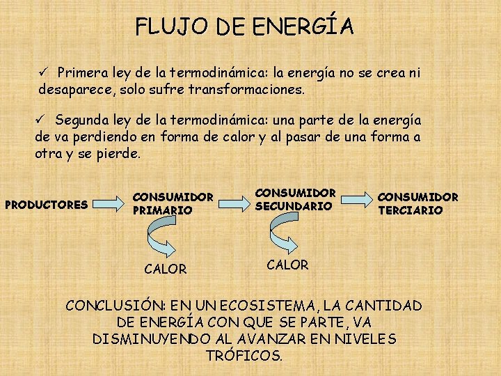 FLUJO DE ENERGÍA ü Primera ley de la termodinámica: la energía no se crea