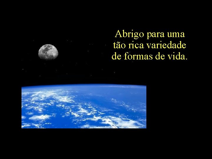 Abrigo para uma tão rica variedade de formas de vida. 