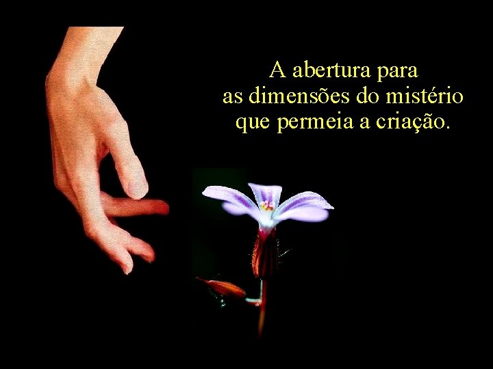 A abertura para as dimensões do mistério que permeia a criação. 