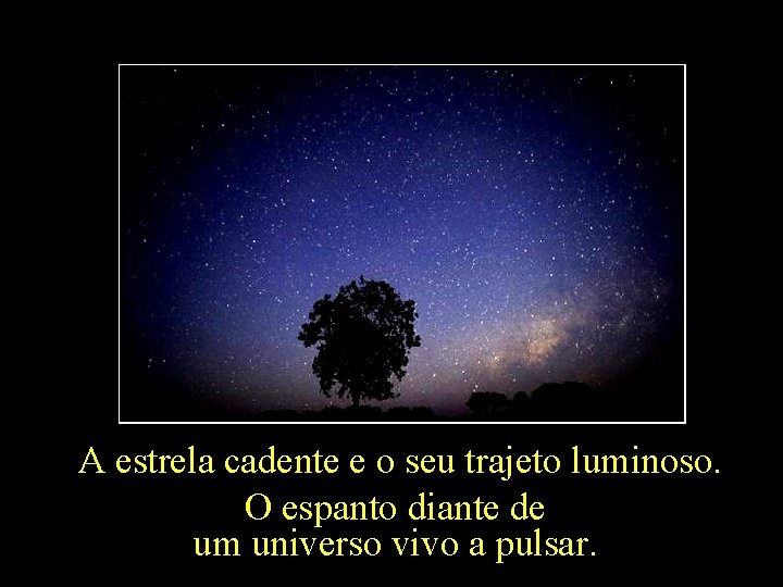 A estrela cadente e o seu trajeto luminoso. O espanto diante de um universo