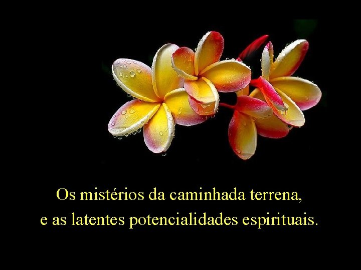 Os mistérios da caminhada terrena, e as latentes potencialidades espirituais. 