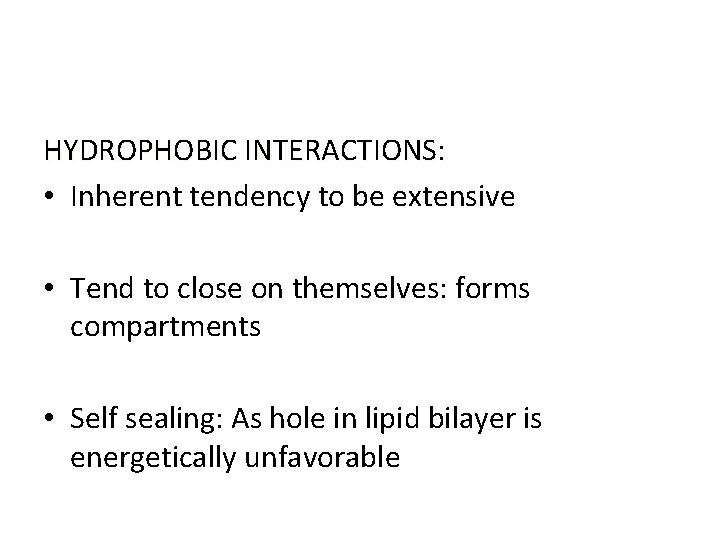 HYDROPHOBIC INTERACTIONS: • Inherent tendency to be extensive • Tend to close on themselves: