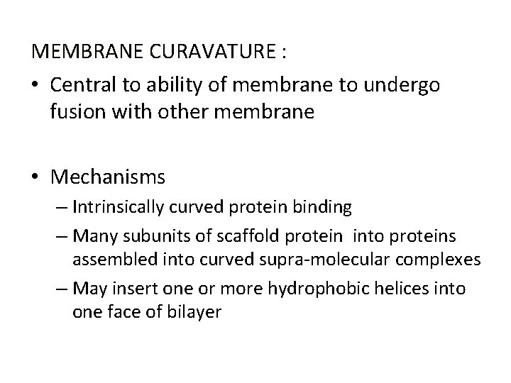 MEMBRANE CURAVATURE : • Central to ability of membrane to undergo fusion with other