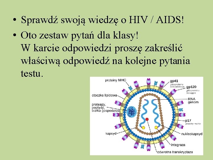  • Sprawdź swoją wiedzę o HIV / AIDS! • Oto zestaw pytań dla