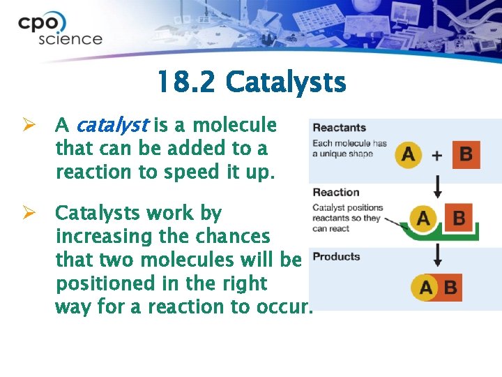 18. 2 Catalysts Ø A catalyst is a molecule that can be added to