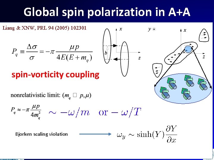 Global spin polarization in A+A Liang & XNW, PRL 94 (2005) 102301 spin-vorticity coupling