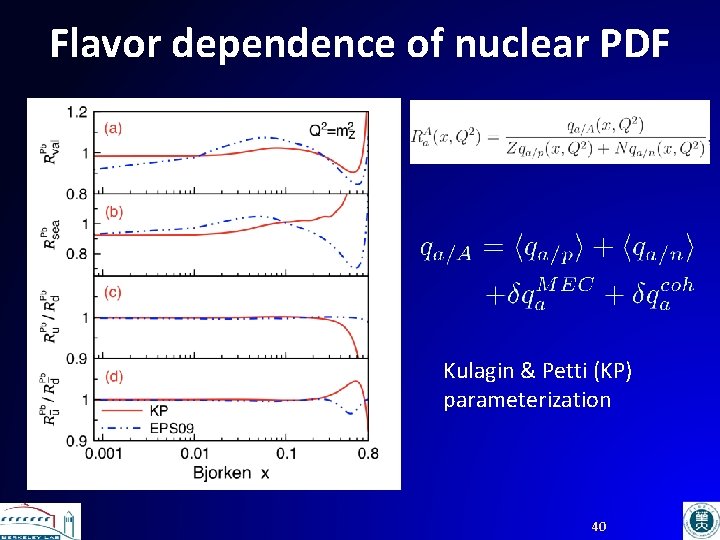 Flavor dependence of nuclear PDF Kulagin & Petti (KP) parameterization 40 