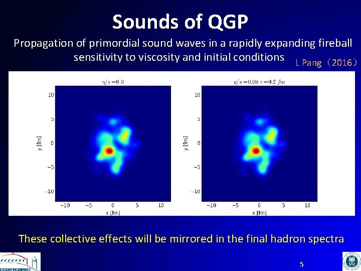 Sounds of QGP Propagation of primordial sound waves in a rapidly expanding fireball sensitivity