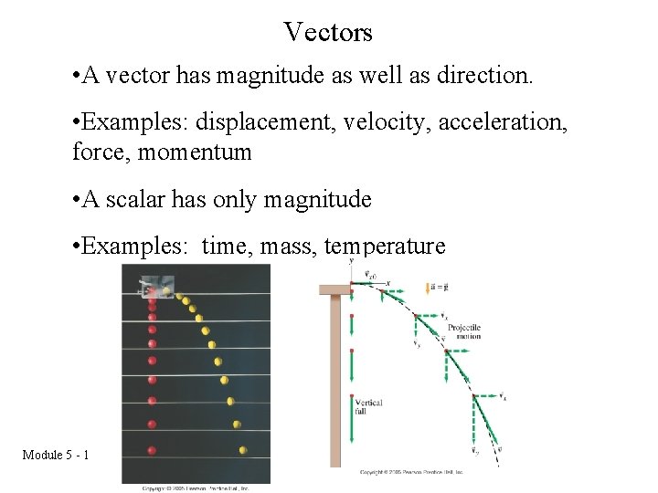 Vectors • A vector has magnitude as well as direction. • Examples: displacement, velocity,