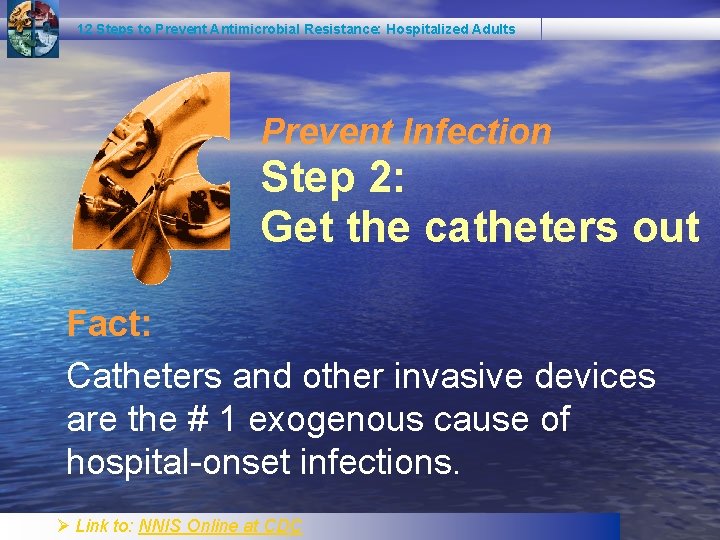 12 Steps to Prevent Antimicrobial Resistance: Hospitalized Adults Prevent Infection Step 2: Get the 12 Steps to Prevent Antimicrobial Resistance: Hospitalized Adults Prevent Infection Step 2: Get the