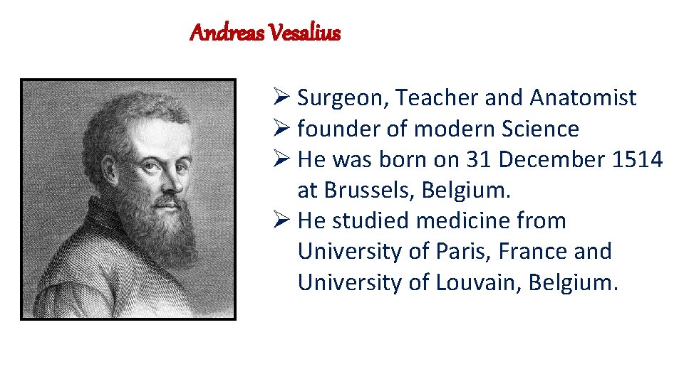 Andreas Vesalius Ø Surgeon, Teacher and Anatomist Ø founder of modern Science Ø He