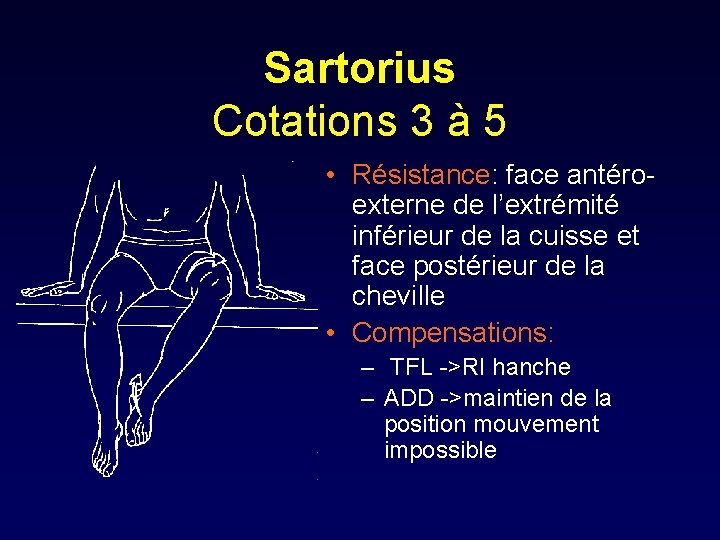 Sartorius Cotations 3 à 5 • Résistance: face antéroexterne de l’extrémité inférieur de la