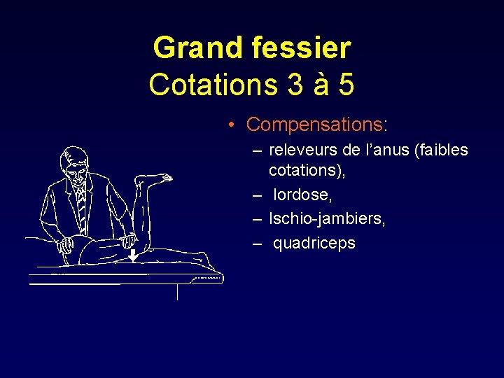 Grand fessier Cotations 3 à 5 • Compensations: – releveurs de l’anus (faibles cotations),