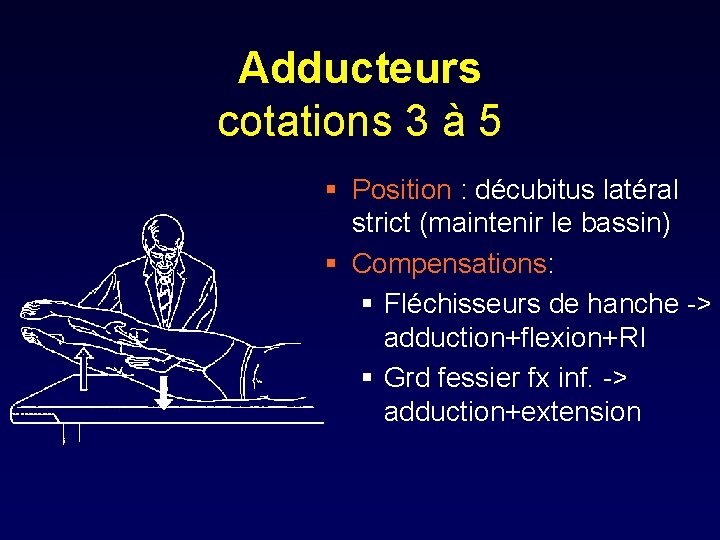Adducteurs cotations 3 à 5 § Position : décubitus latéral strict (maintenir le bassin)