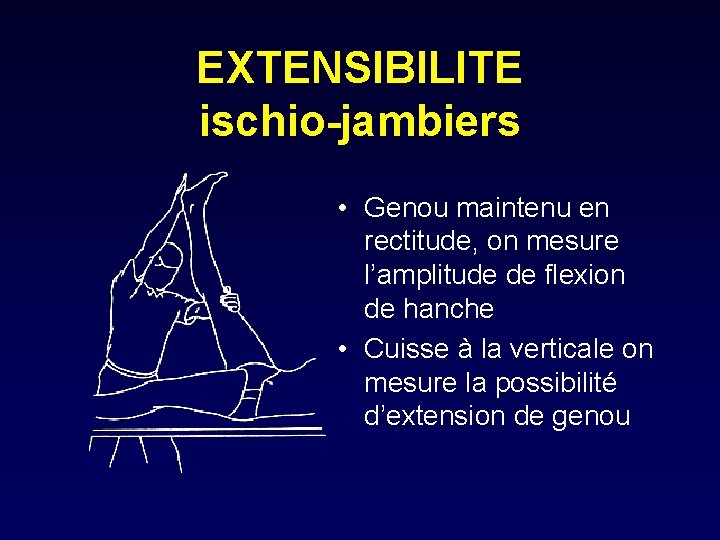 EXTENSIBILITE ischio-jambiers • Genou maintenu en rectitude, on mesure l’amplitude de flexion de hanche
