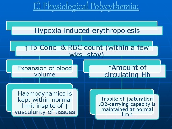 E) Physiological Polycythemia: Hypoxia induced erythropoiesis ↑Hb Conc. & RBC count (within a few