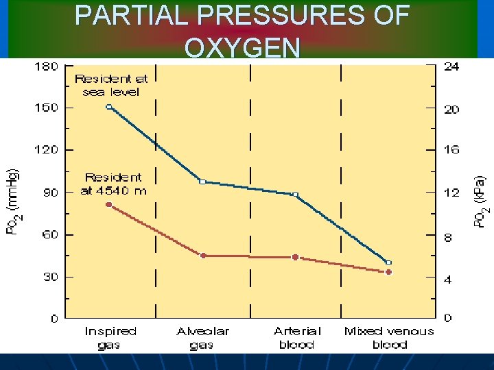 PARTIAL PRESSURES OF OXYGEN 