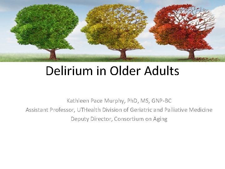 Delirium in Older Adults Kathleen Pace Murphy, Ph. D, MS, GNP-BC Assistant Professor, UTHealth
