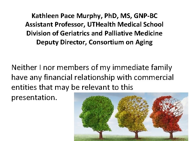 Kathleen Pace Murphy, Ph. D, MS, GNP-BC Assistant Professor, UTHealth Medical School Division of