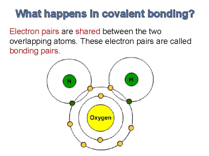 What happens in covalent bonding? Electron pairs are shared between the two overlapping atoms.