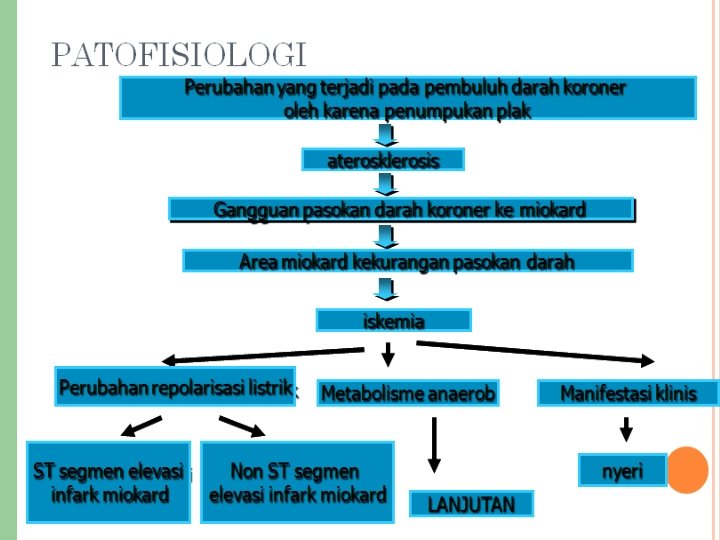PATOFISIOLOGIS 