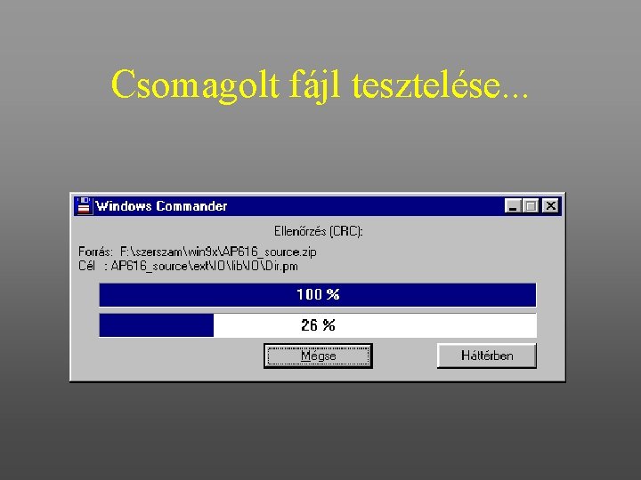 Csomagolt fájl tesztelése. . . 