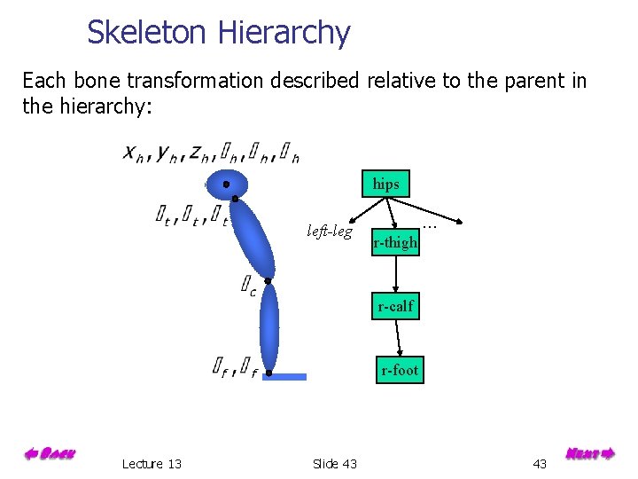 Skeleton Hierarchy Each bone transformation described relative to the parent in the hierarchy: hips