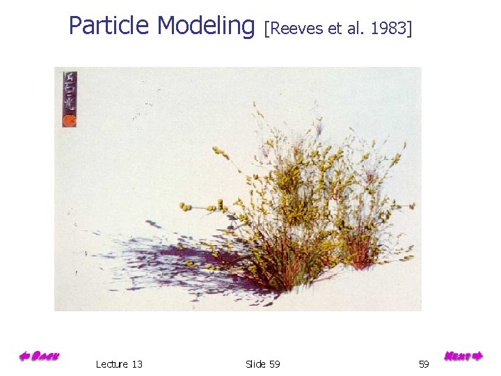 Particle Modeling Lecture 13 [Reeves et al. 1983] Slide 59 59 