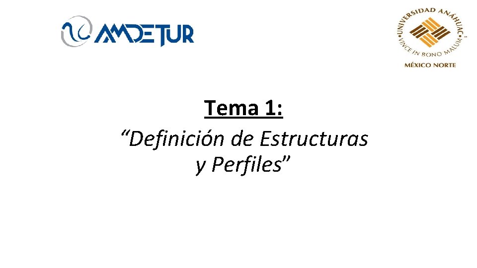 Tema 1: “Definición de Estructuras y Perfiles” 