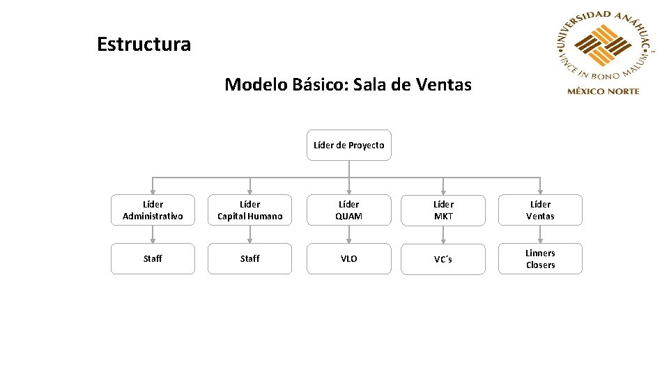 Estructura Modelo Básico: Sala de Ventas Líder de Proyecto Líder Administrativo Líder Capital Humano