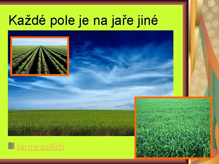 Každé pole je na jaře jiné Jaro v polích 