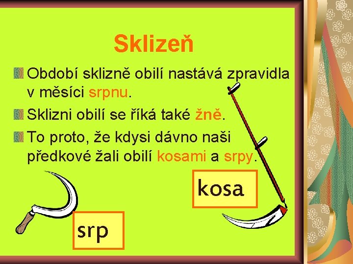 Sklizeň Období sklizně obilí nastává zpravidla v měsíci srpnu. Sklizni obilí se říká také