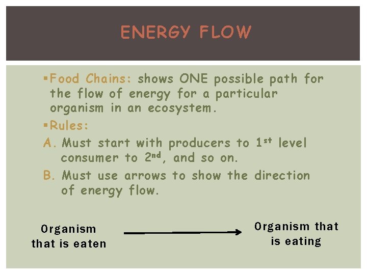 ENERGY FLOW § Food Chains: shows ONE possible path for the flow of energy