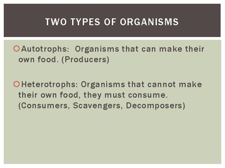 TWO TYPES OF ORGANISMS Autotrophs: Organisms that can make their own food. (Producers) Heterotrophs: