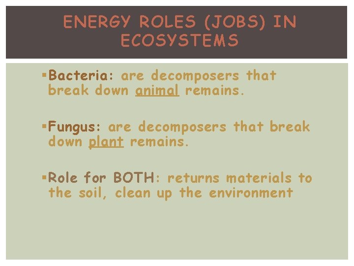 ENERGY ROLES (JOBS) IN ECOSYSTEMS § Bacteria: are decomposers that break down animal remains.