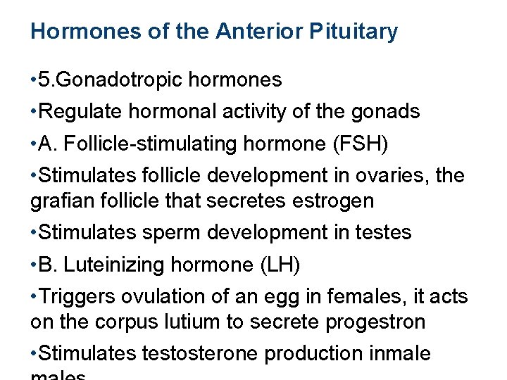 Hormones of the Anterior Pituitary • 5. Gonadotropic hormones • Regulate hormonal activity of