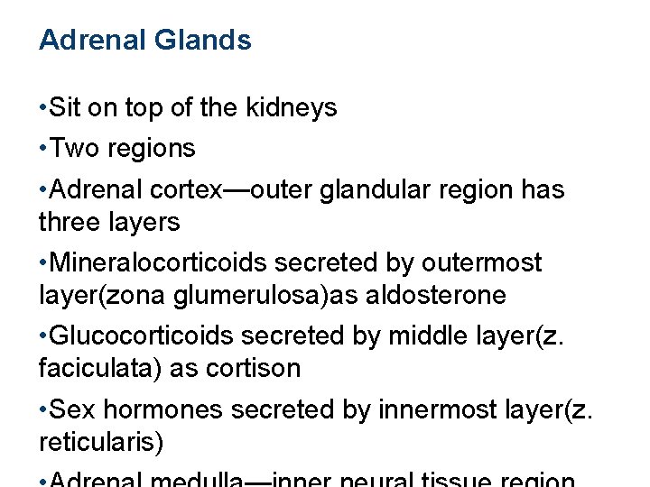 Adrenal Glands • Sit on top of the kidneys • Two regions • Adrenal