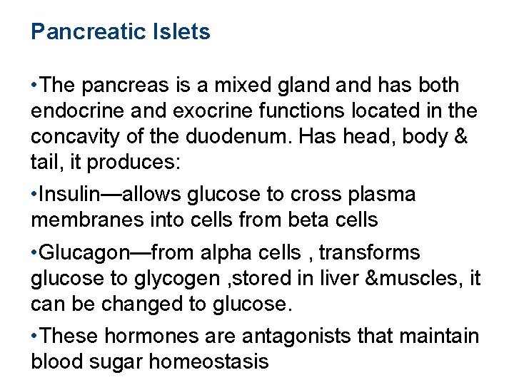 Pancreatic Islets • The pancreas is a mixed gland has both endocrine and exocrine