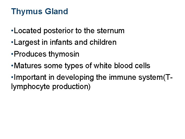Thymus Gland • Located posterior to the sternum • Largest in infants and children